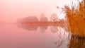 Sunrise at the water. Trees reflection in the pond on foggy morning. Orange mood Royalty Free Stock Photo