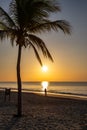 Sunrise on the west coast of Panama.Sun rising behind a coconut palm tree with walkers on the beach