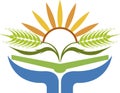 Sunrise wheat logo