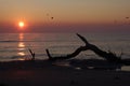 Sunrise on a wild beach