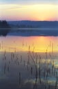 Sunrise on a wild forest lake