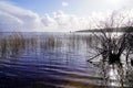 Sunrise wild water beach Biscarrosse lake sanguinet village french in winter morning