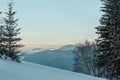 Sunrise winter Carpathian mountains, Ukraine