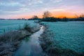 Sunrise on winter frosty morning Royalty Free Stock Photo