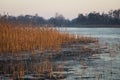 Sunrise in winter at lake Nannewijd, Oudehaske, the Netherlands Royalty Free Stock Photo