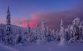 Snowy winter forest on the hills of northern Finland