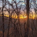 Sunrise through the winter trees over the mountains