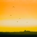 Sunrise in Yambol, Bulgaria with birds 2