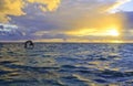 Sunrise yoga on paddle board