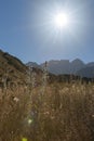 Sunrises over selective focus on golden grass and wildflowers Royalty Free Stock Photo