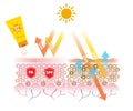 Sunscreen with PA and SPF block UV rays vector on white background.
