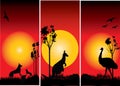 Sunset of Australian animals as a silhouette
