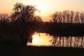 Sunset above fish pond and spring, bare naked broadleaf tree lanes around, with reflection of sun on water surface.