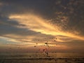 Sunset above Pacific Ocean - View from Waikiki Wall in Honolulu on Oahu Island, Hawaii. Royalty Free Stock Photo