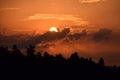 Sunset above a pine forest, beautifull colored sky