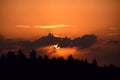 Sunset above a pine forest, beautifull colored sky