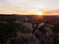 Sunset above the trees