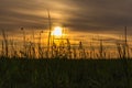 Sunset at a mining area converted in to an amazing landscape in Genk, Belgium