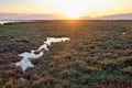 Sunset above wetland terrain. Landscape with setting sun, marsh and highlands at horizon