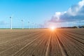 Sunset above windmills on the field Royalty Free Stock Photo