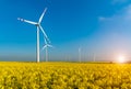 Sunset above windmills on the field Royalty Free Stock Photo