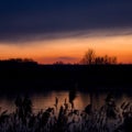 Sunset above Zlicin colors reeds Royalty Free Stock Photo