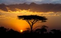 Sunset and Acacia tree in the Serengeti, Tanzania
