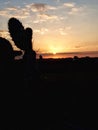 Sunset, Africa, Morroco, desert, nature, picture, nice, beautiful, sunrise
