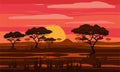 Sunset in Africa, savanna landscape with the silhouettes of trees, grass bushes horison orange Sun. Reserves and