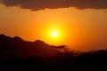 Sunset in Africa with shades of baobab trees Royalty Free Stock Photo