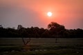 Sunset in the African bush in the Kruger Royalty Free Stock Photo