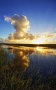 Sunset on the Airboat trails in the Florida Everglades Royalty Free Stock Photo