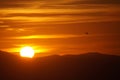 Sunset airoplane Royalty Free Stock Photo