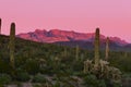 Sunset Ajo Range Organ Pipe Cactus NM landscape AZ Royalty Free Stock Photo