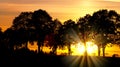 Sunset with alley of lime tree