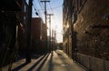 Sunset in the alley of old brick buildings - backyard, power lines, trees, garbage tank Royalty Free Stock Photo