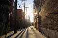 Sunset in the alley of old brick buildings - backyard, power lines, trees, garbage tank Royalty Free Stock Photo