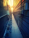 Sunset alley