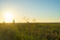 Sunset in Alviso Marina County Park with door in there Royalty Free Stock Photo