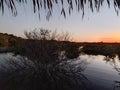 Sunset in the Amazon Jungle Royalty Free Stock Photo