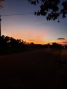 Sunset amazon trees