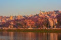 Sunset in Antananarivo city with blossomed jacaranda trees. Houses and historical buildings in back, Anosy lake in front