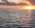 A sunset as seen from the sea in Tonga Royalty Free Stock Photo