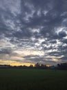 sunset atmosphere with beautiful rice fields Royalty Free Stock Photo
