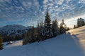 Sunset in austrian alps with last sunbeams through trees