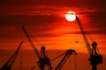 sunset back on silhouette crane cloud on night sky Royalty Free Stock Photo