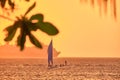 Boracay, Philippines - Jan 23, 2020: Sunset on the background of bottles standing on the bar. The sun passes through the bright