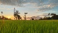 Sunset in the background, mountains, rice fields, sky, clouds, scenery, Royalty Free Stock Photo