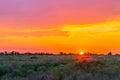 Sunset background, Panorama view with wonderful golden yellow sky, Amazing purple and orange sky in evening during the sun going Royalty Free Stock Photo