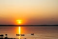 Sunset on the background of the sea. the sun sets over the horizon, leaving glare on the water. Royalty Free Stock Photo
